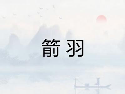 箭羽