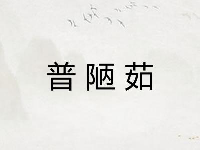 普陋茹