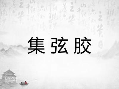 集弦胶