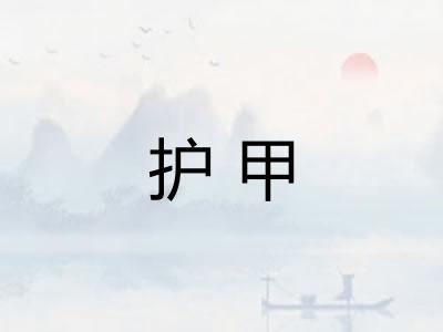 护甲