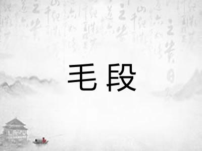 毛段