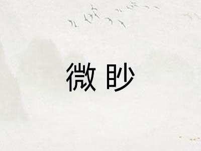 微眇