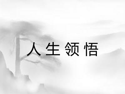 人生领悟
