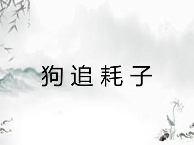 狗追耗子