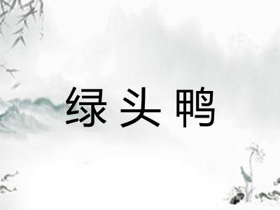 绿头鸭