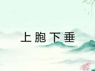 上胞下垂