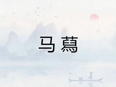 马蕮