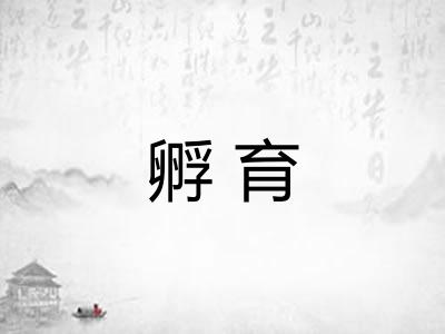 孵育