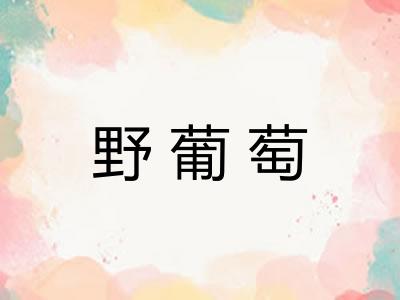 野葡萄