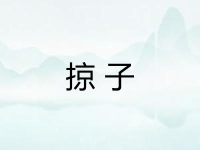 掠子