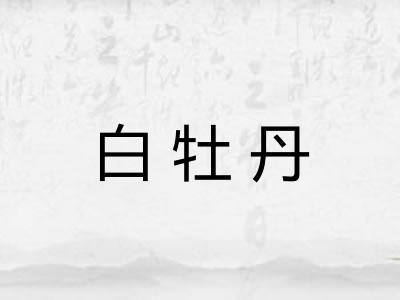 白牡丹