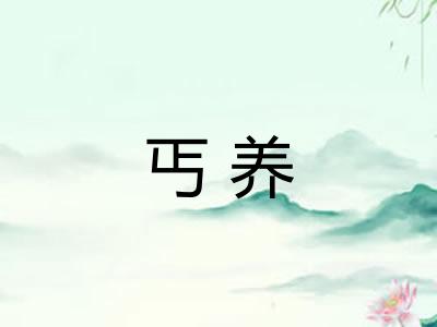 丐养