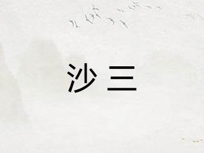 沙三