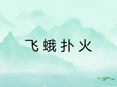 飞蛾扑火