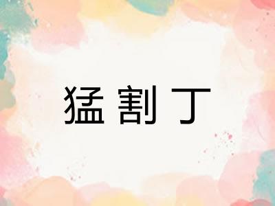 猛割丁