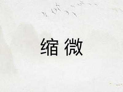 缩微