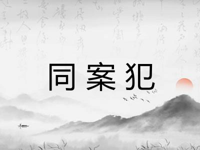 同案犯
