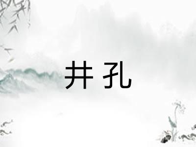 井孔