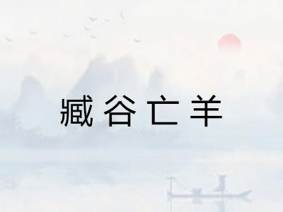 臧谷亡羊