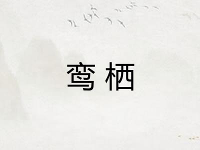 鸾栖
