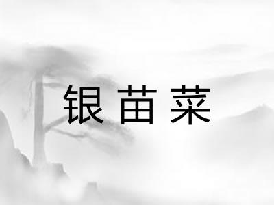银苗菜