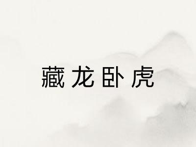 藏龙卧虎