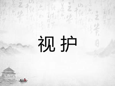 视护