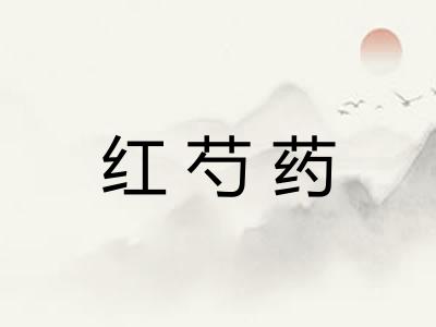 红芍药