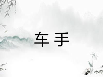 车手