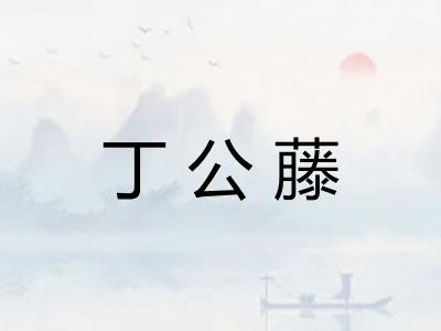 丁公藤