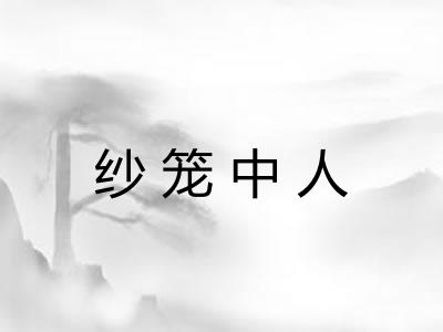 纱笼中人
