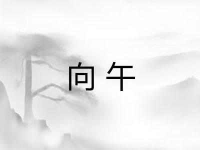 向午