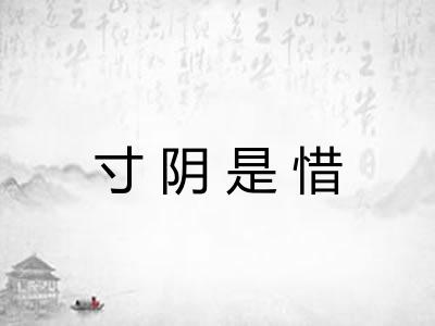 寸阴是惜
