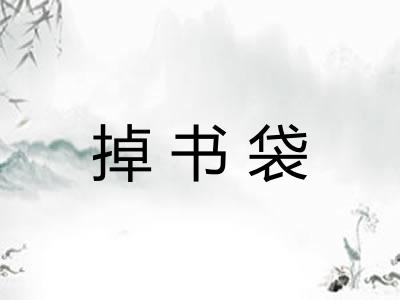 掉书袋
