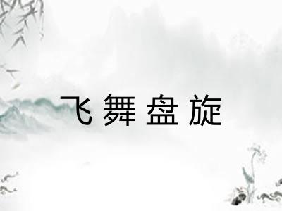飞舞盘旋