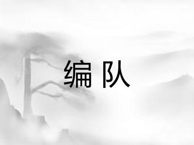 编队