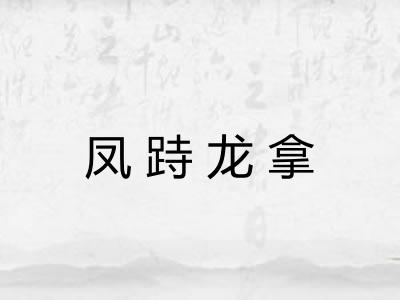 凤跱龙拿