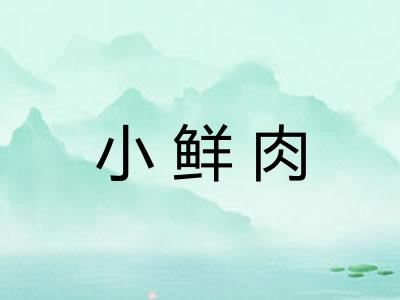 小鲜肉
