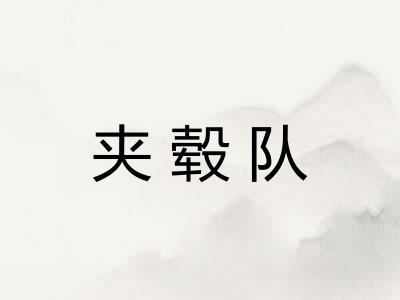 夹毂队