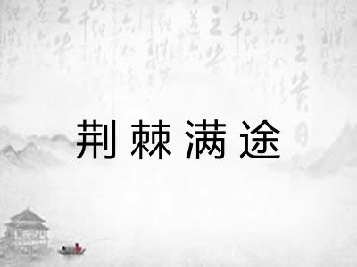 荆棘满途