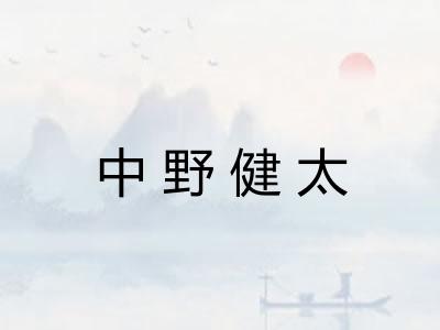 中野健太