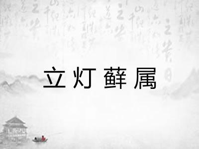 立灯藓属