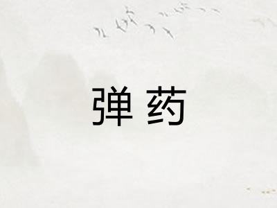 弹药