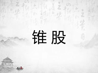 锥股