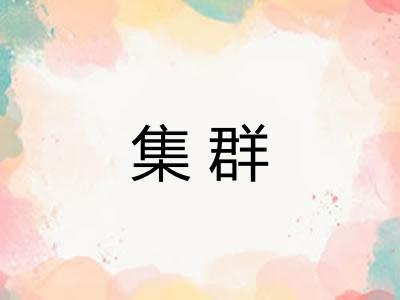 集群