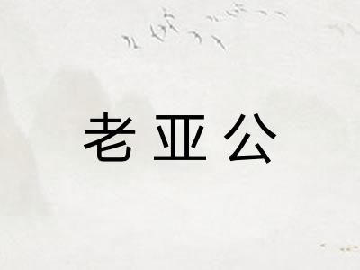 老亚公