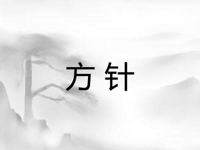 方针