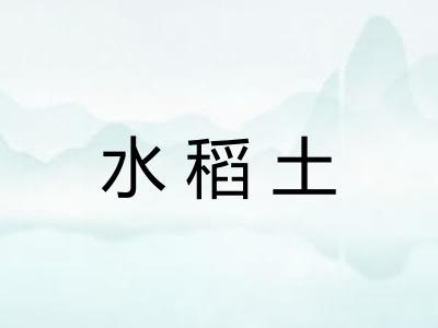 水稻土