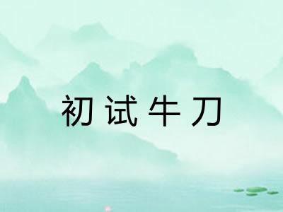初试牛刀