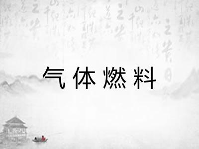 气体燃料
